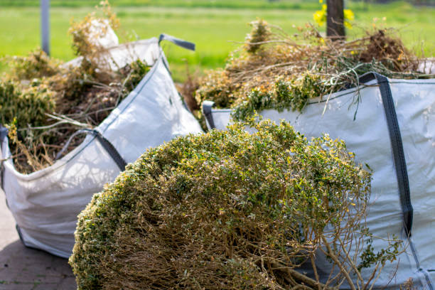 Best Retail Junk Removal  in Darmstadt, IN